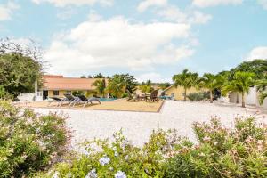 威廉斯塔德ABC Lodges Curacao的一个带游泳池、椅子和树木的度假酒店