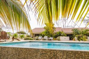威廉斯塔德ABC Lodges Curacao的一个带椅子的游泳池,并种植了棕榈树