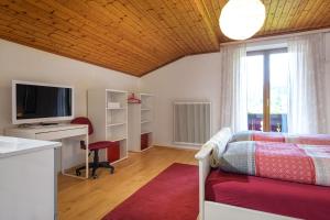 多弗加斯坦Haus Knapp Apartment的一间卧室配有一张床、一张书桌和一台电视