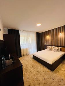 波亚纳布拉索夫Pensiunea Zimbrul的酒店客房配有一张床、一张书桌和一张四柱床
