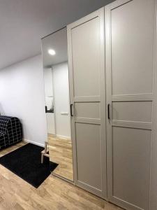 维尔纽斯OZO Life Apartment的一间设有两个衣柜和镜子的房间