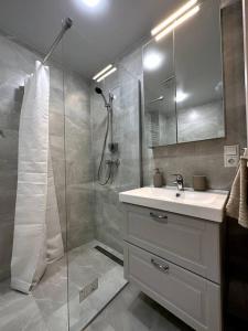 维尔纽斯OZO Life Apartment的带淋浴、盥洗盆和镜子的浴室