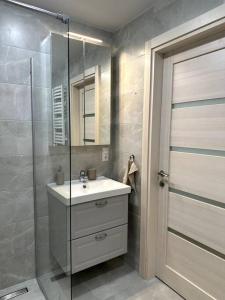 维尔纽斯OZO Life Apartment的一间带水槽和玻璃淋浴的浴室