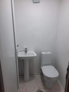 卡兹贝吉Tiny House Kazbegi的白色的浴室设有卫生间和水槽。