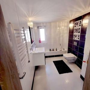什切青Carpe Diem Lakeside Apartment的白色的浴室设有水槽和卫生间。