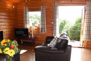赖厄德Tawny Owl Lodge的一间带真皮沙发和阳台的客厅