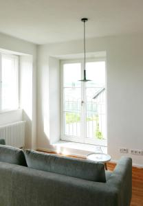 赖兴瑙Haus Münsterblick的带沙发和窗户的客厅