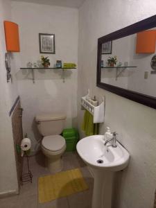 孔斯坦萨Estancia Sonrisas de Ángeles的一间带卫生间、水槽和镜子的浴室