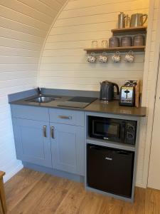 康威Cwt y Gwenyn Glamping Pod的厨房配有水槽和带微波炉的台面。