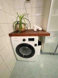 奥斯陆Your Ultimate Group Getaway - Central in Vibrant Bislett的洗衣机上方有植物