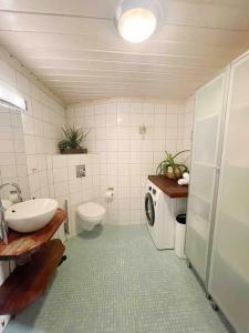 奥斯陆Your Ultimate Group Getaway - Central in Vibrant Bislett的浴室配有卫生间水槽和洗衣机。