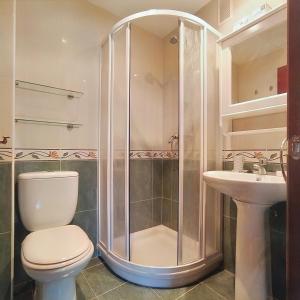 比利亚维西奥萨Apartamento Seronda的带淋浴、卫生间和盥洗盆的浴室