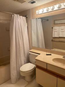 德斯坦Gated Gulf Front Condo in Hidden Dunes Beach & Tennis Resort的浴室配有卫生间、盥洗盆和淋浴。