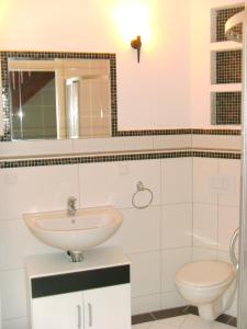 韦森贝格Ferienwohnung am Heegesee的一间带水槽、卫生间和镜子的浴室