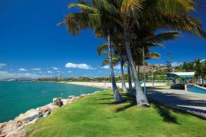 汤斯维尔滨水斯特兰德酒店的海滩上一棵棕榈树和大海
