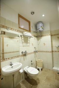 阿姆利则Malhotra Guest House 50 Meter from Golden Temple的一间带水槽、卫生间和镜子的浴室