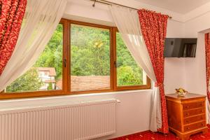 布拉索夫Panoramic Center Rooms的客房设有带红色窗帘和散热器的窗户。
