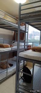 香港The Cultural Crashpad - 康乃馨旅館的客房内的一组双层床