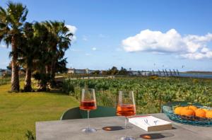 马尔萨拉Casa B, Room 3 - Palm Kite Paradise的一张桌子,上面放着两杯葡萄酒和一篮水果