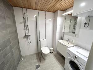 奥卢Kotimaailma Apartments Sairaalanrinne的一间带卫生间、水槽和镜子的浴室