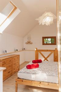 KisapátiChill'Inn Country Home in the Balaton Uplands的一间卧室配有一张带红色枕头的床