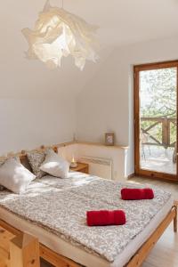 KisapátiChill'Inn Country Home in the Balaton Uplands的一间卧室配有一张带两个红色枕头的床