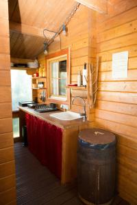 KuusikuMeela Talu Puhkekompleks的小木屋内的厨房配有水槽