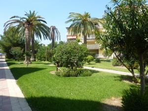 坎布里尔斯apartamento Estel的一座种植了棕榈树的绿色公园和一座建筑