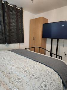 依尔福Private Room的一间卧室配有一张床和一台平面电视