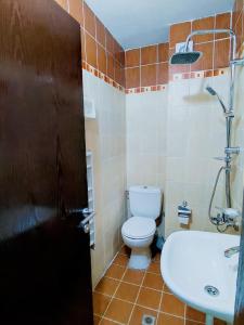 兹拉托格勒HOTEL GOLDEN CITY的一间带卫生间和水槽的浴室