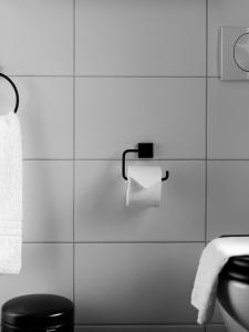 雷克雅未克雷伊公寓 的浴室设有卫生间和一卷卫生纸