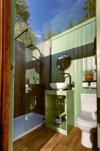 里彭Yurtshire Eavestone Lake - Birch Yurt的浴室配有卫生间、盥洗盆和淋浴。