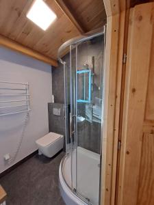 Domki Na Winnicy的带淋浴和卫生间的浴室