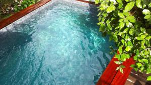 科尔巴拉A ChiOsella的拥有蓝色海水和绿色植物的游泳池