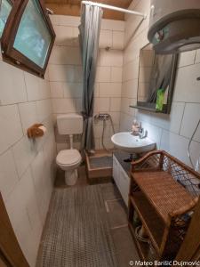 里斯卡Apartman Kos的一间带卫生间和水槽的小浴室
