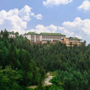 西姆拉Taj Theog Resort & Spa Shimla的树上山头的度假胜地