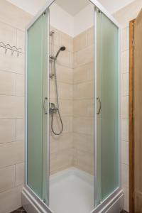 VrataApartman Roko的浴室里设有玻璃门淋浴