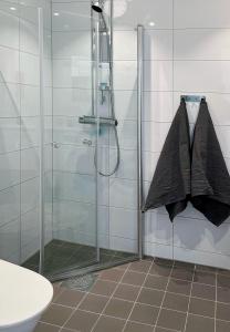 马尔默Hyllie Appartement - New Construction的带淋浴的浴室和玻璃淋浴间
