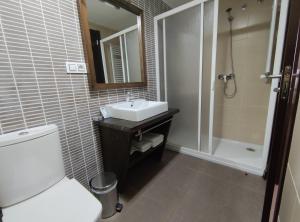 CastellfortAparthotel Castellfort的一间带水槽、卫生间和淋浴的浴室