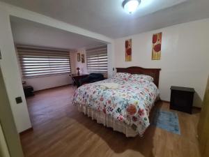瓦尔迪维亚Casa Selva的一间卧室配有一张床和一张书桌