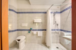 佛罗伦萨波提瑟利酒店的浴室配有卫生间、淋浴和盥洗盆。