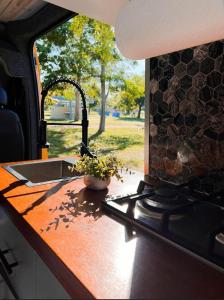 阿瓜迪亚BeeVan的厨房柜台设有水槽和炉灶。