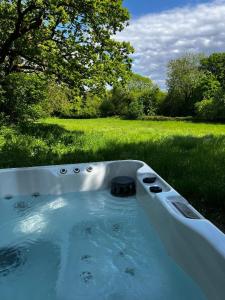 灵伍德Lynbrook Cabin and Hot Tub, New Forest的田间装满水的浴缸