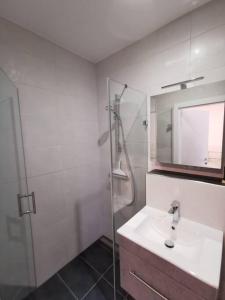 特里滕海姆Ferienwohnung Zum Moselfischer的白色的浴室设有水槽和淋浴。