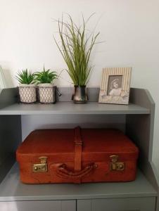 卡利亚里Dom Apartment Luxury的手提箱,放在有植物的架子上