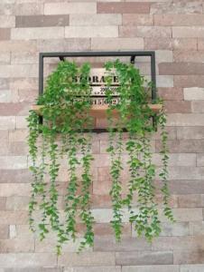卡利亚里Dom Apartment Luxury的砖墙上长着植物的长凳
