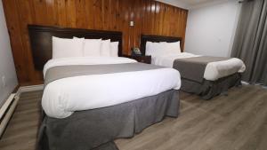 Dwight阿冈昆湖滨旅馆的配有木墙的酒店客房内的两张床