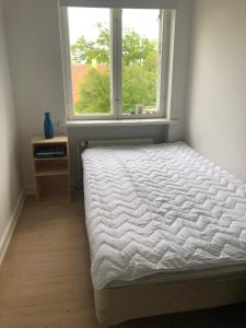 斯文堡Sundkig fra 1. Sal的一间卧室设有一张床和一个窗口