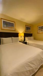 Punto FijoHotel Las Palmas Inn的酒店客房设有两张床和两盏灯。