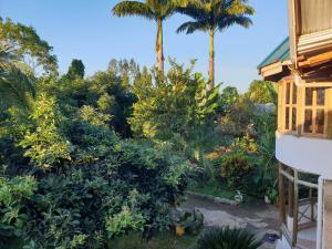 阿鲁沙Zion Care Homestay的享有棕榈树花园和房子的景色